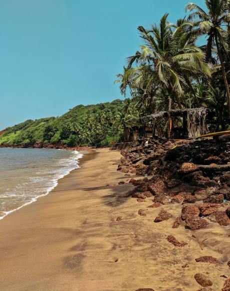 Incredible Goa